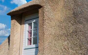 Stonefield thatch roof disadvantages